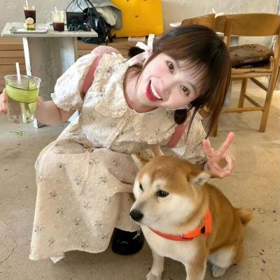 美术馆旁的动物园