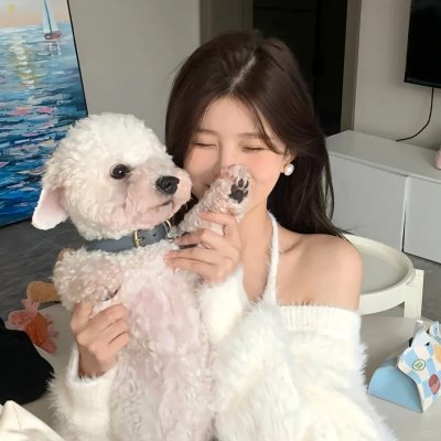 爱情枪手